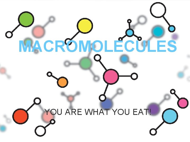 MACROMOLECULES YOU ARE WHAT YOU EAT! 