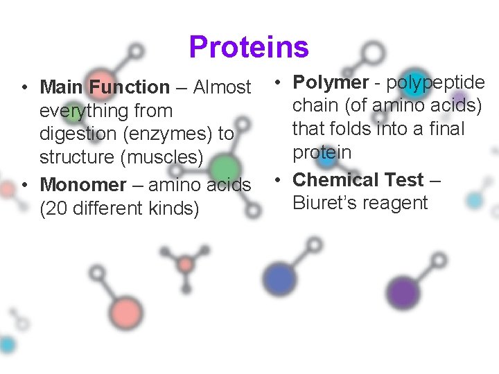 Proteins • Main Function – Almost everything from digestion (enzymes) to structure (muscles) •