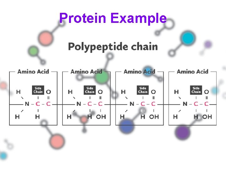 Protein Example 
