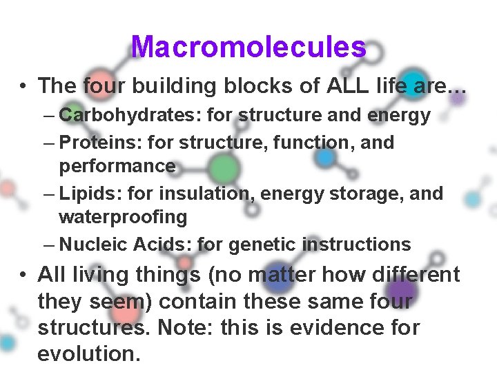 Macromolecules • The four building blocks of ALL life are… – Carbohydrates: for structure