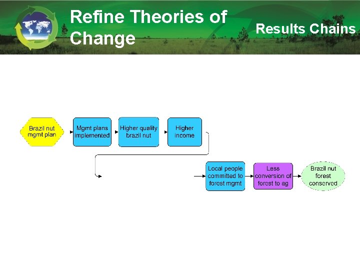 Refine Theories of Change Results Chains Adapted from WWF Southwest Amazon Ecoregion (SWA) 