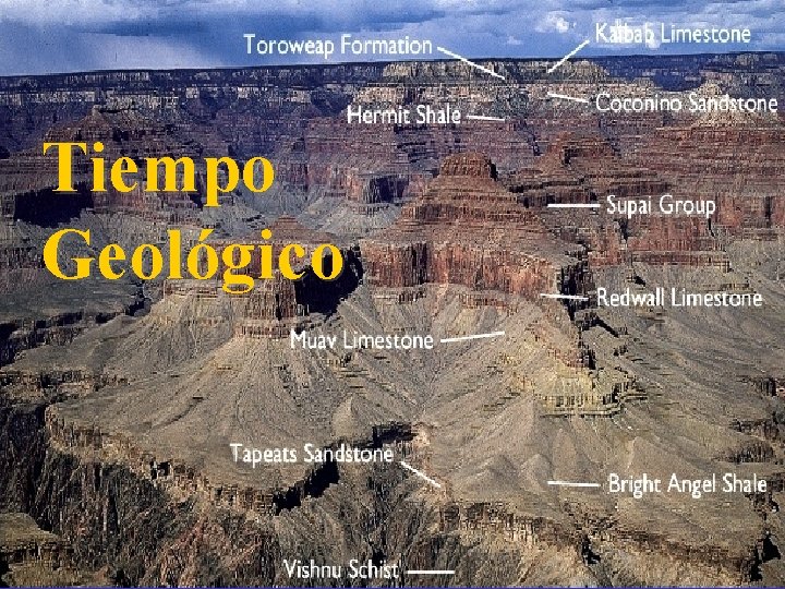 Tiempo Geológico 