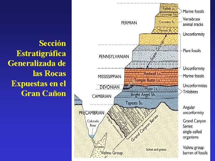 Sección Estratigráfica Generalizada de las Rocas Expuestas en el Gran Cañon 