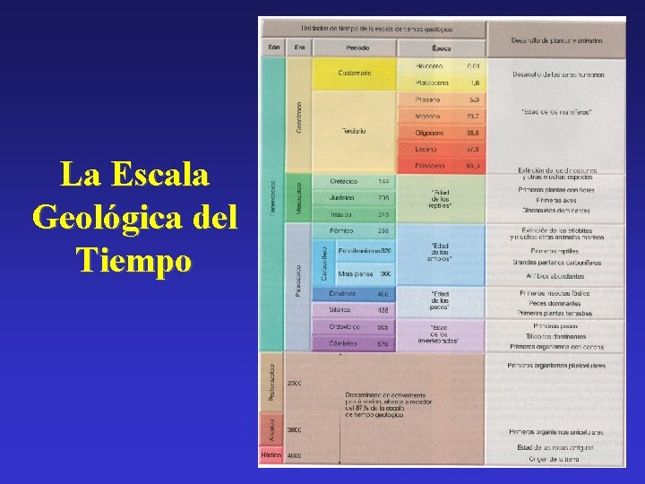 La Escala Geológica del Tiempo 