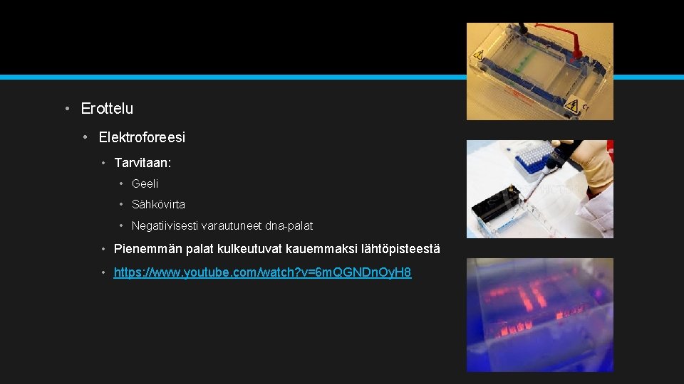  • Erottelu • Elektroforeesi • Tarvitaan: • Geeli • Sähkövirta • Negatiivisesti varautuneet