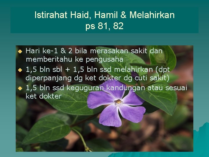 Istirahat Haid, Hamil & Melahirkan ps 81, 82 u u u Hari ke-1 &