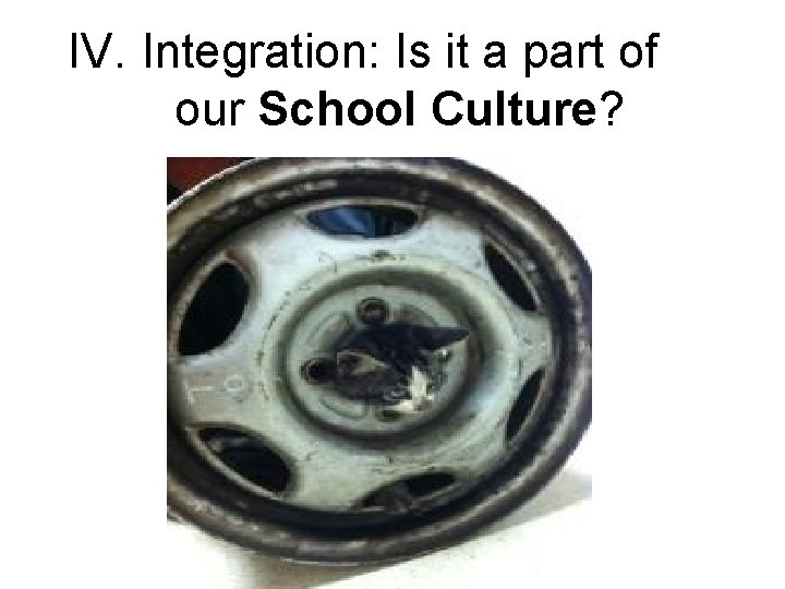 IV. Integration: Is it a part of our School Culture? 