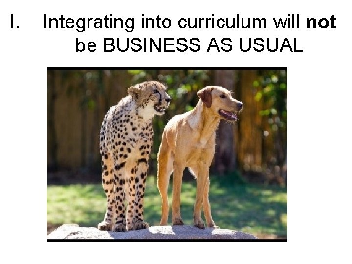 I. Integrating into curriculum will not be BUSINESS AS USUAL 