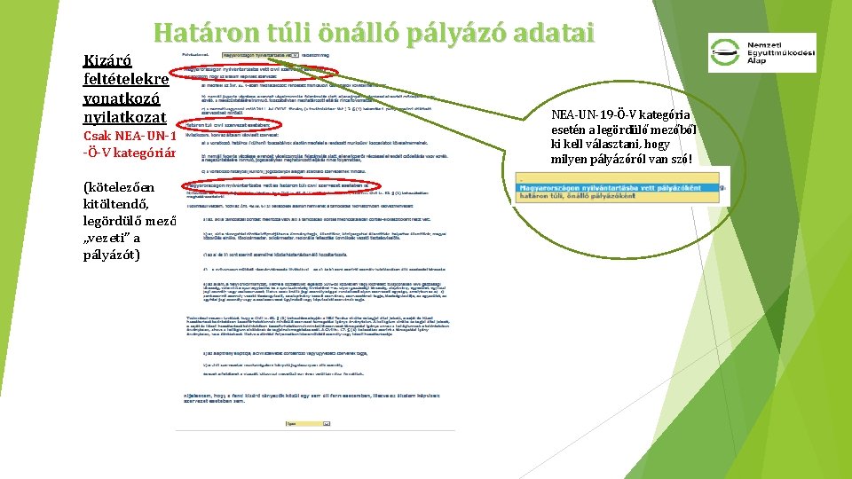 Határon túli önálló pályázó adatai Kizáró feltételekre vonatkozó nyilatkozat Csak NEA-UN-19 -Ö-V kategórián: (kötelezően