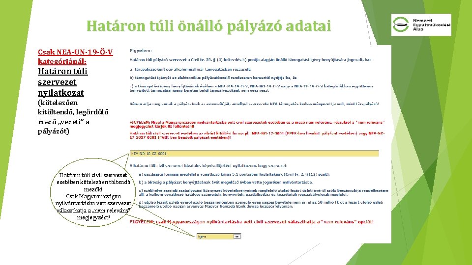 Határon túli önálló pályázó adatai Csak NEA-UN-19 -Ö-V kategóriánál: Határon túli szervezet nyilatkozat (kötelezően