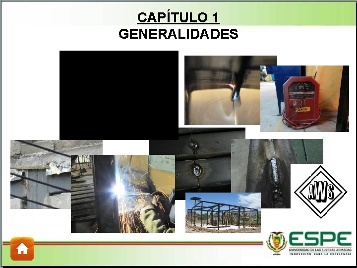 CAPÍTULO 1 GENERALIDADES CAPÍTULO 1 GENERALIDADES