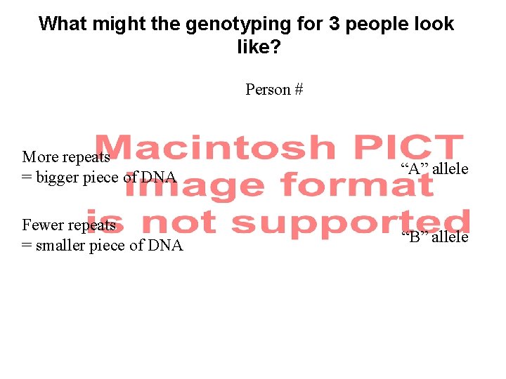 What might the genotyping for 3 people look like? Person # More repeats =