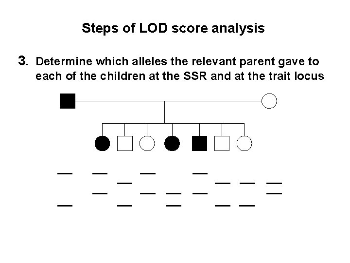 Steps of LOD score analysis 3. Determine which alleles the relevant parent gave to
