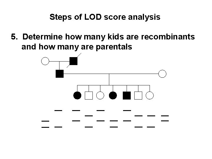 Steps of LOD score analysis 5. Determine how many kids are recombinants and how