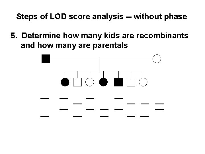 Steps of LOD score analysis -- without phase 5. Determine how many kids are