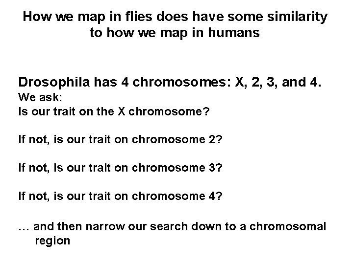How we map in flies does have some similarity to how we map in