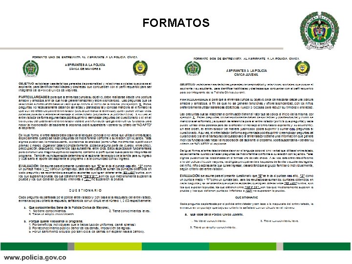 FORMATOS FORMATOS