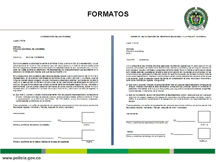 FORMATOS FORMATOS
