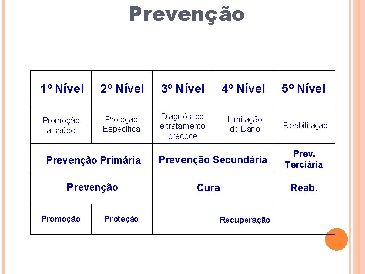 Prevenção 1º Nível 2º Nível 3º Nível 4º Nível 5º Nível Promoção a saúde