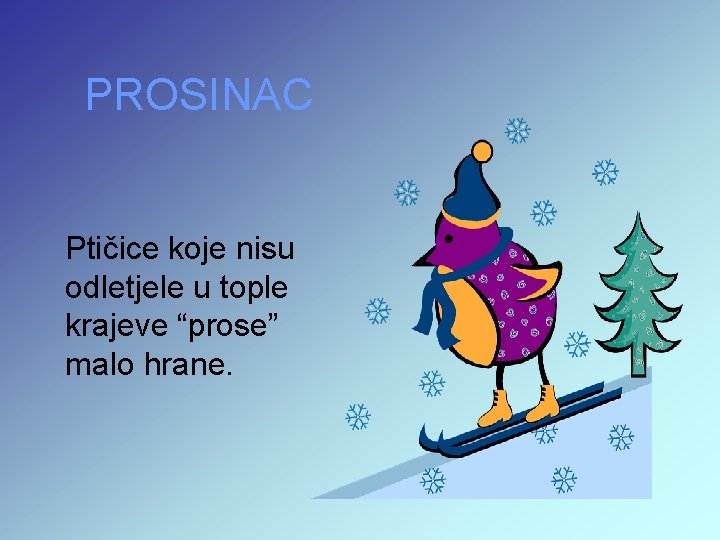 PROSINAC Ptičice koje nisu odletjele u tople krajeve “prose” malo hrane. 