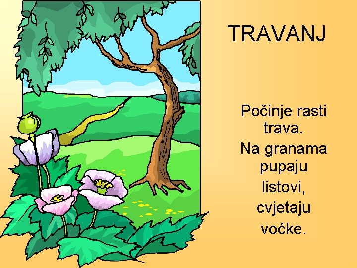 TRAVANJ Počinje rasti trava. Na granama pupaju listovi, cvjetaju voćke. 