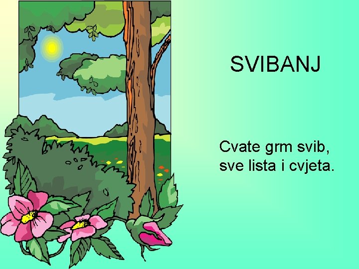 SVIBANJ Cvate grm svib, sve lista i cvjeta. 