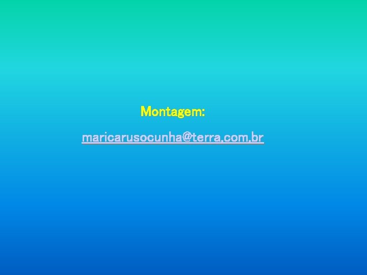  Montagem: maricarusocunha@terra. com. br 