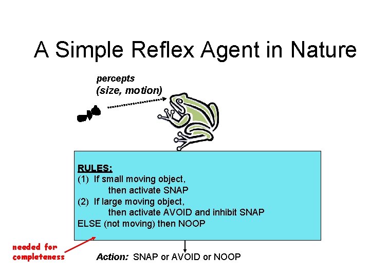 A Simple Reflex Agent in Nature percepts (size, motion) RULES: (1) If small moving