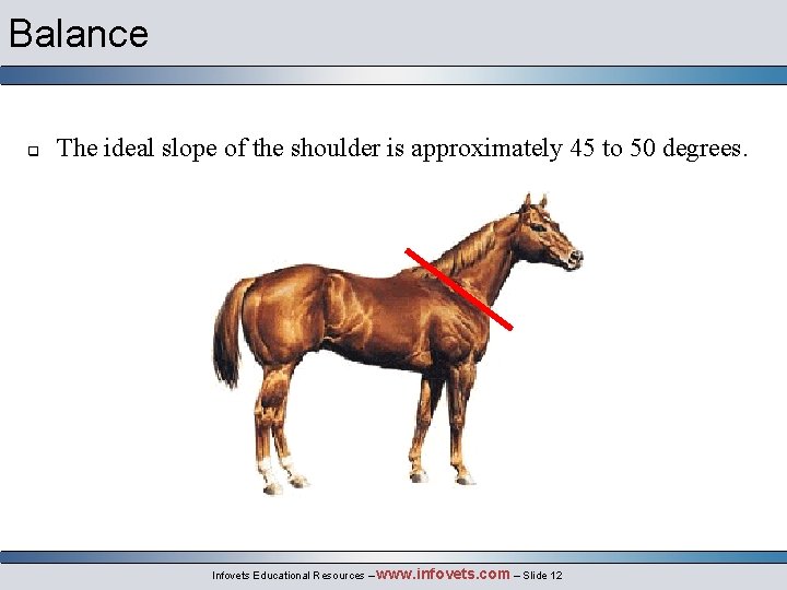 Balance q The ideal slope of the shoulder is approximately 45 to 50 degrees.