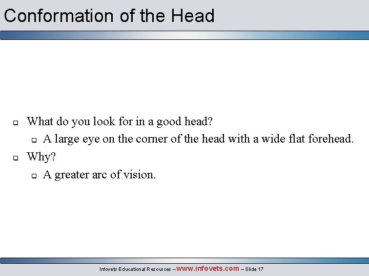 Conformation of the Head q q What do you look for in a good