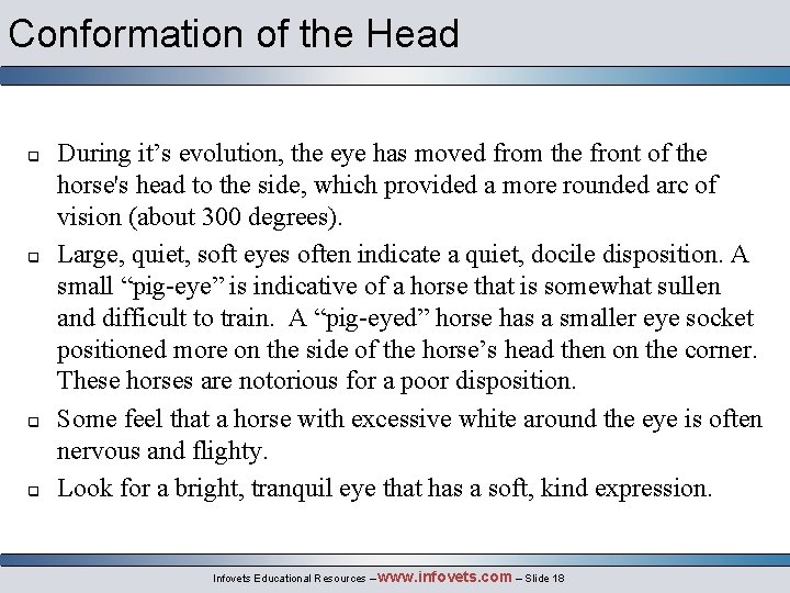 Conformation of the Head q q During it’s evolution, the eye has moved from