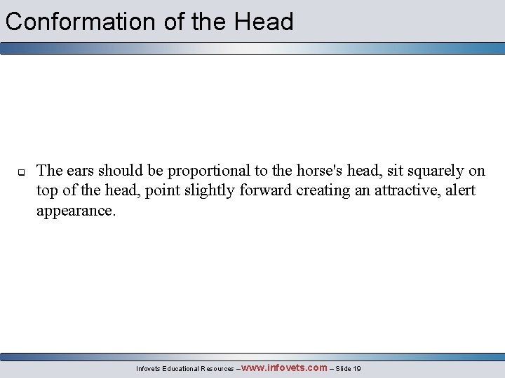 Conformation of the Head q The ears should be proportional to the horse's head,
