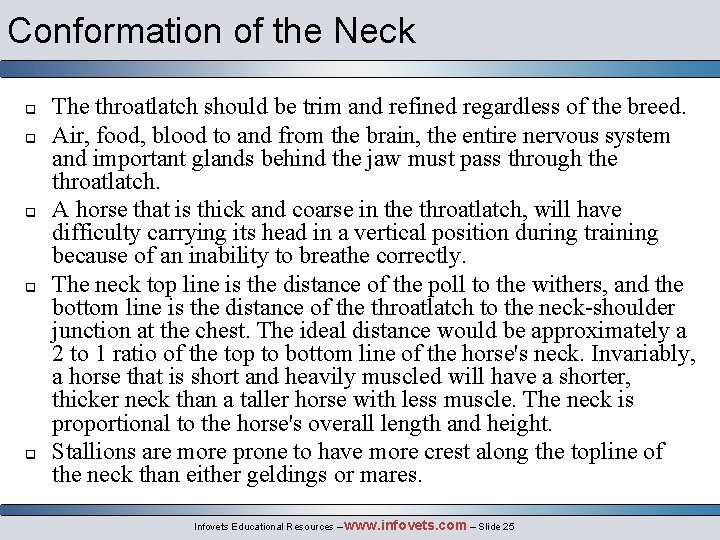 Conformation of the Neck q q q The throatlatch should be trim and refined