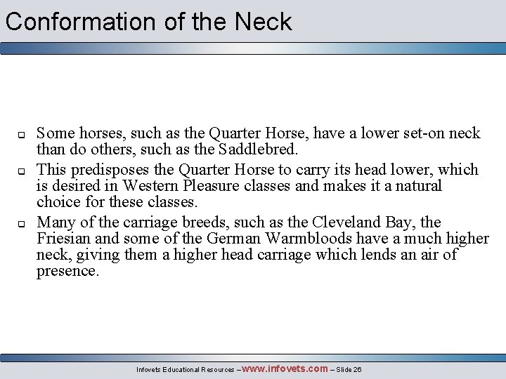 Conformation of the Neck q q q Some horses, such as the Quarter Horse,