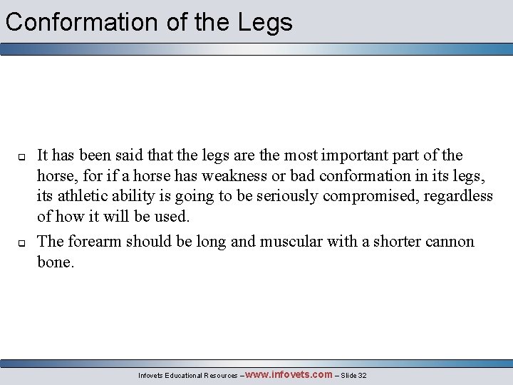 Conformation of the Legs q q It has been said that the legs are