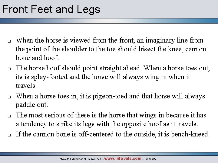 Front Feet and Legs q q q When the horse is viewed from the