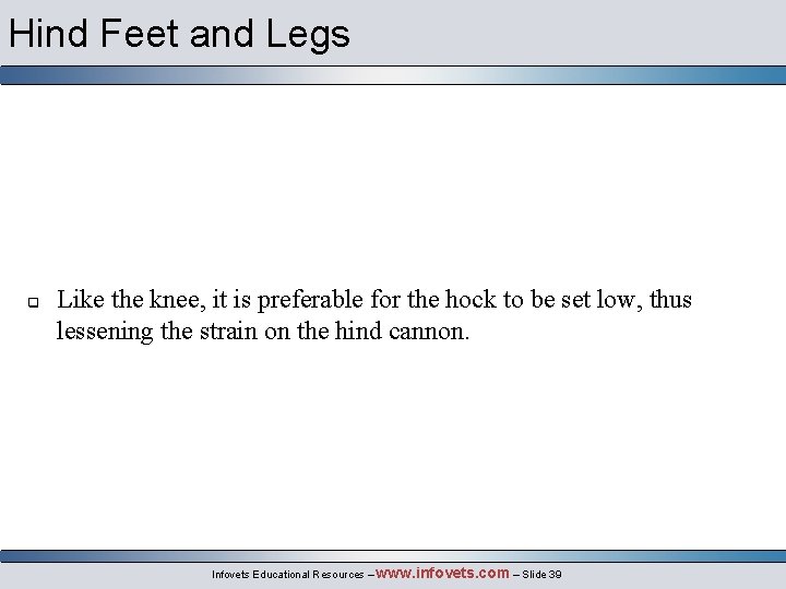 Hind Feet and Legs q Like the knee, it is preferable for the hock