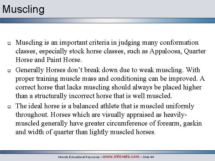 Muscling q q q Muscling is an important criteria in judging many conformation classes,