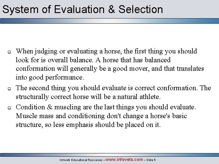 System of Evaluation & Selection q q q When judging or evaluating a horse,
