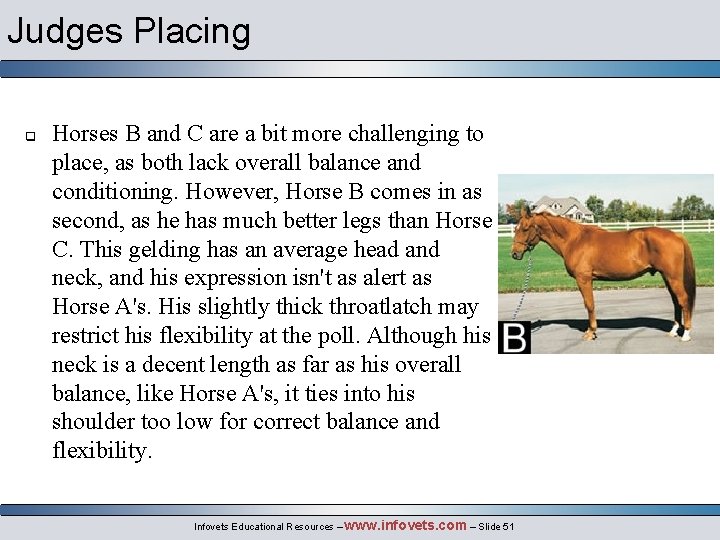 Judges Placing q Horses B and C are a bit more challenging to place,