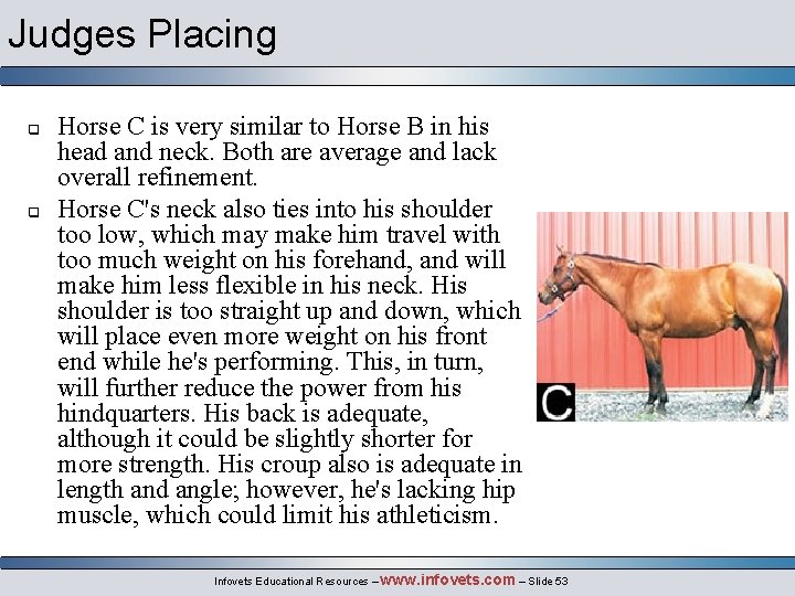 Judges Placing q q Horse C is very similar to Horse B in his