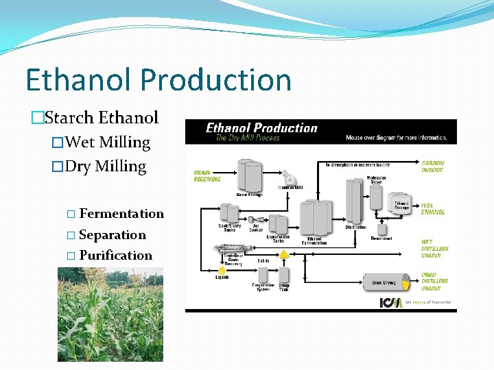 Ethanol Production �Starch Ethanol �Wet Milling �Dry Milling � Fermentation � Separation � Purification