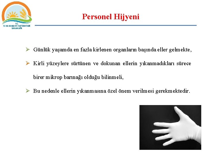 Personel Hijyeni Ø Günlük yaşamda en fazla kirlenen organların başında eller gelmekte, Ø Kirli