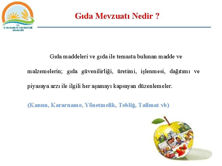 Gıda Mevzuatı Nedir ? Gıda maddeleri ve gıda ile temasta bulunan madde ve malzemelerin;