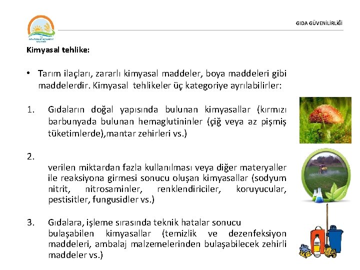 GIDA GÜVENİLİRLİĞİ Kimyasal tehlike: • Tarım ilaçları, zararlı kimyasal maddeler, boya maddeleri gibi maddelerdir.
