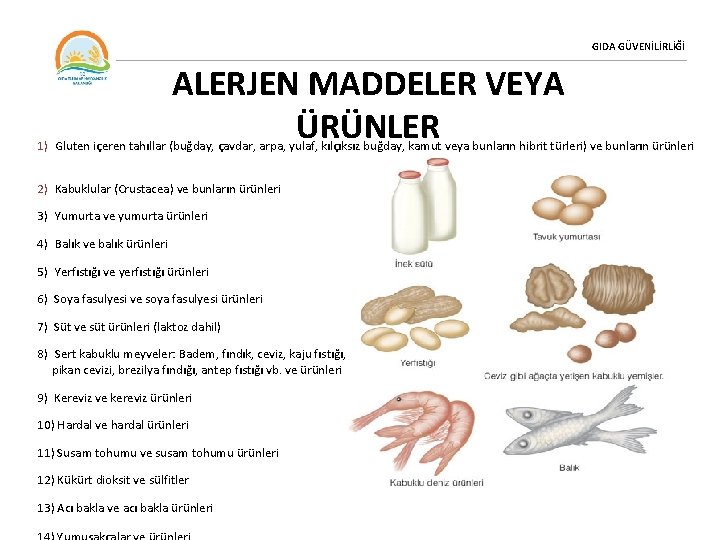 GIDA GÜVENİLİRLİĞİ ALERJEN MADDELER VEYA ÜRÜNLER 1) Gluten içeren tahıllar (buğday, çavdar, arpa, yulaf,