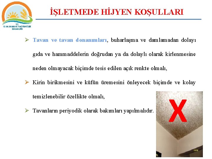 İŞLETMEDE HİJYEN KOŞULLARI Ø Tavan ve tavan donanımları, buharlaşma ve damlamadan dolayı gıda ve