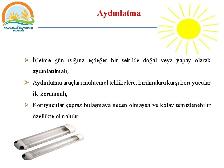 Aydınlatma Ø İşletme gün ışığına eşdeğer bir şekilde doğal veya yapay olarak aydınlatılmalı, Ø