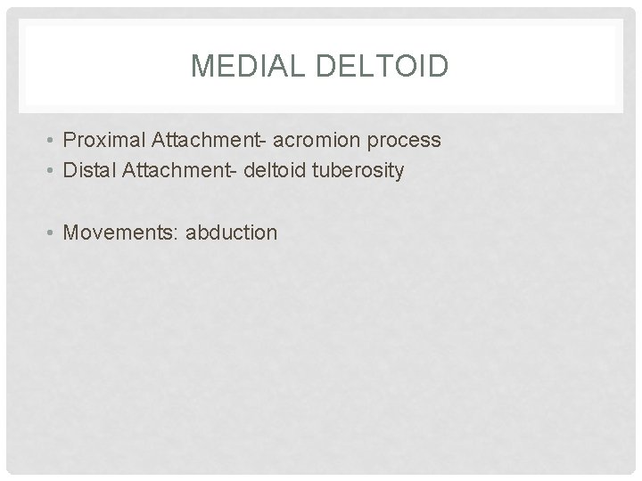 MEDIAL DELTOID • Proximal Attachment- acromion process • Distal Attachment- deltoid tuberosity • Movements: