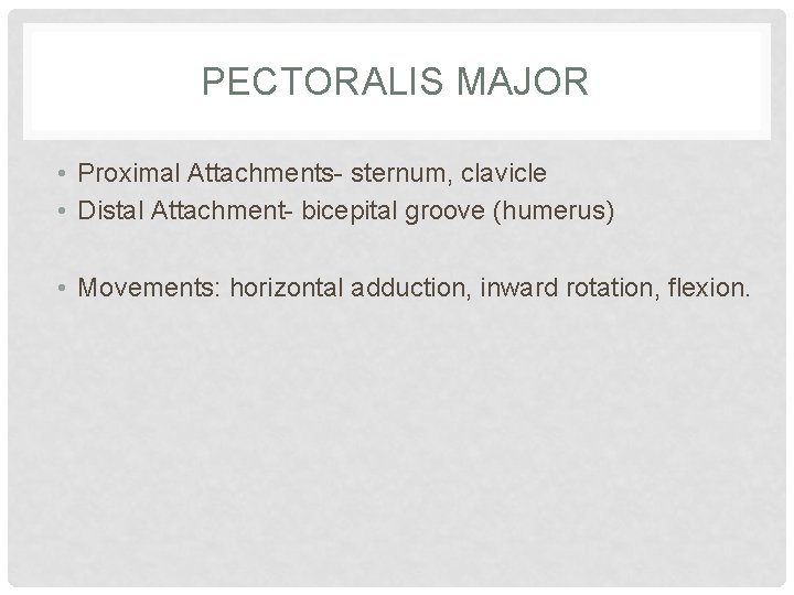 PECTORALIS MAJOR • Proximal Attachments- sternum, clavicle • Distal Attachment- bicepital groove (humerus) •